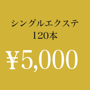 シングルエクステ120本 ￥5,500