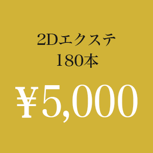 2Dエクステ180本 ￥5,500