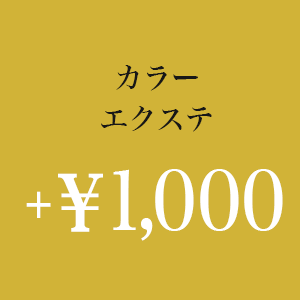 カラーエクステ +￥1,100